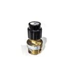 Veriflo Pressure Regulator Valve 3000 PSI (1) Veriflo Pressure Regulator Valve 3000 PSI