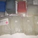 pipette disposable tips 1800 tips of 1¼", 1¾", 2", & 4", 3 trays & 2 containers Pipette Disposable Tips 1800 tips of 1¼", 1¾", 2", & 4", 3 trays & 2 containers